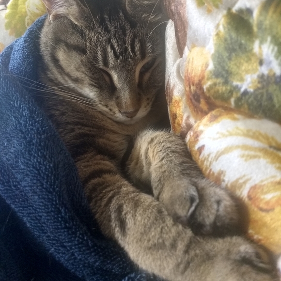 100k THANK YOU FRIENDS - Picture 11 of 14